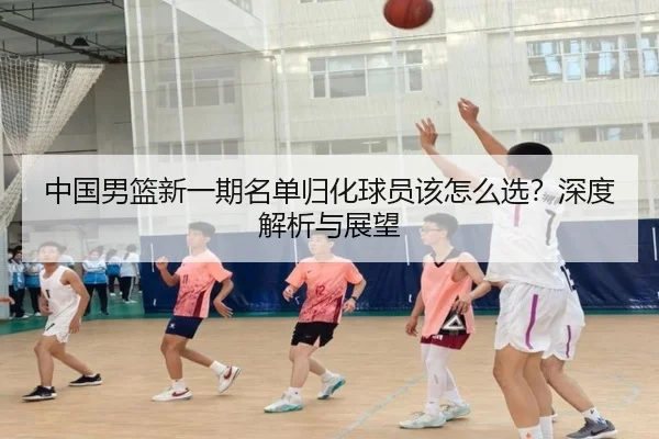 中国男篮新一期名单归化球员该怎么选？深度解析与展望