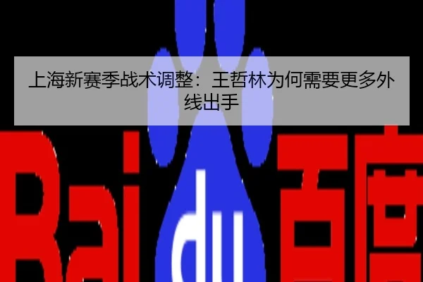 上海新赛季战术调整：王哲林为何需要更多外线出手